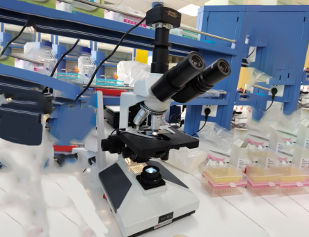 三目生物顯微鏡