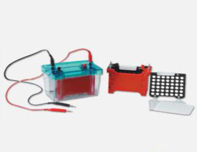 迷你轉(zhuǎn)印電泳儀